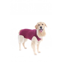PetMed Стандартная послеоперационная попона для собак RPC REGULAR DRY COMFORT красная